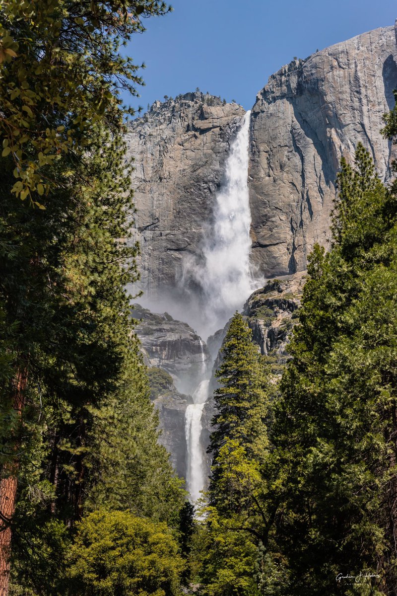 Upper and Lower Yosemite Falls in full force. #yosemite #yosemitenationalpark #yosemitefalls #canonexploreroflight #canonusa #ShotOnCanon #adventurephotography #travelphotography #YourShotPhotographer #landscapephotography #teamcanon