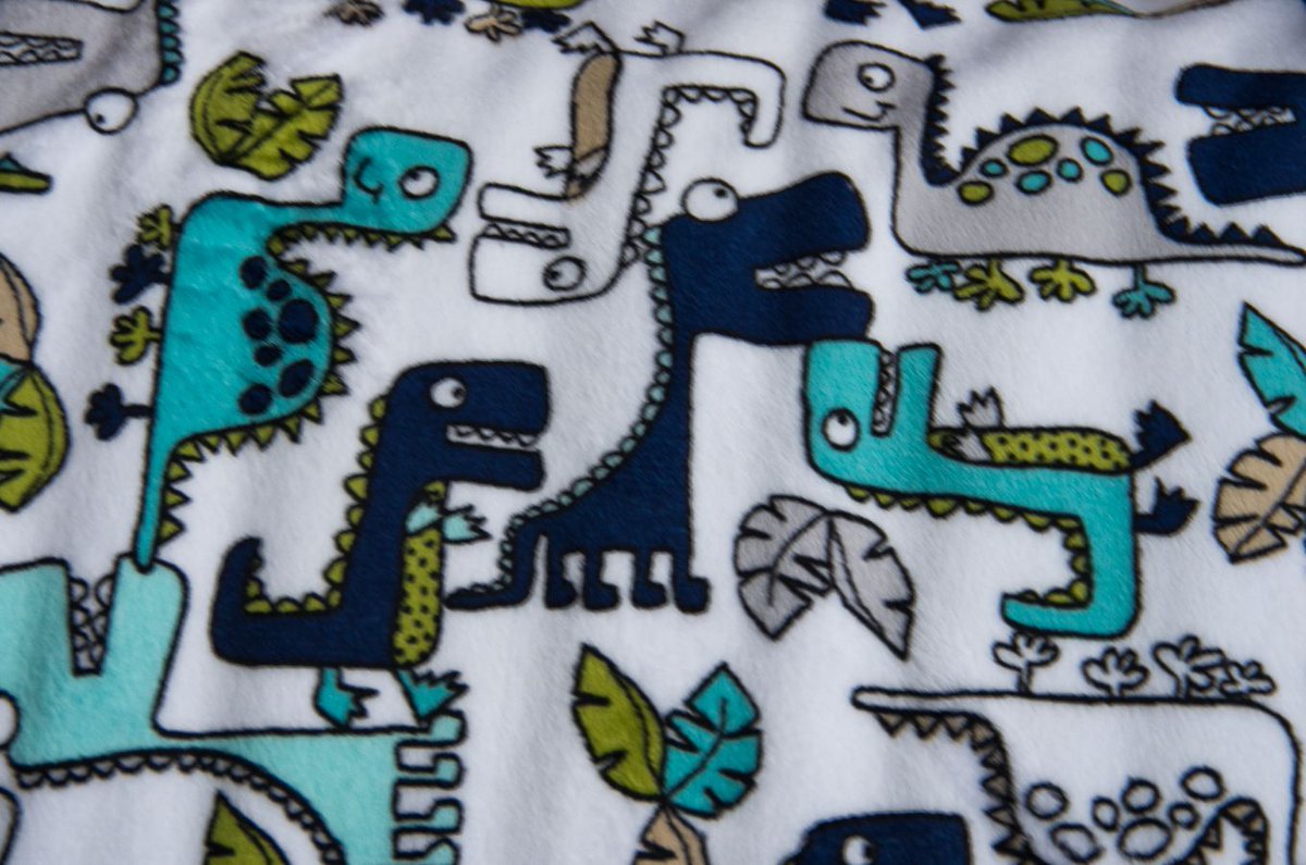 #ROAR #Minky #Fabric #Teal #Dinosaur #Shannonfabrics #Quilting #Sewing #crafting #Quiltback #Animals #babyboy buff.ly/489H604