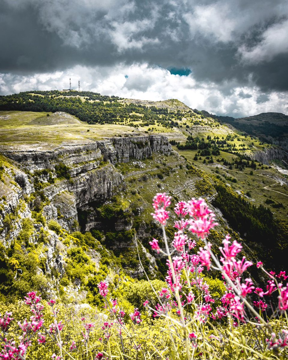 The Green Canyon - Spring & Stormy Skies of Falougha 🍃⛈️➡️
#travelphotography #travel #wanderlust #spring #switzerland #landscapephotography #water #nature #naturephotography #photography #hiking #neverstopexploring #stayandwander #mountainlovers #lebanon #road #mountains
