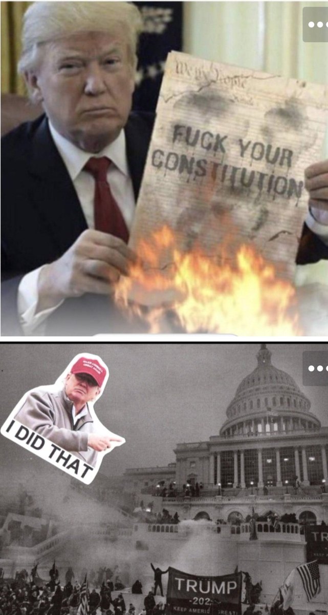 islandtelHI's tweet photo. @SRockyChase2 @MargieVotes #LockTraitorTrumpUp https://t.co/TravUUtBeb
