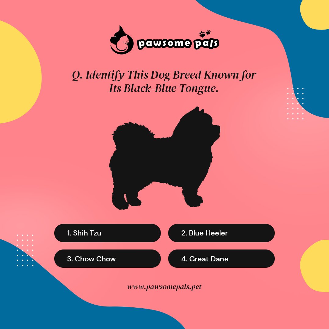 Can you guess this dog breed? Drop your answer below.🐶👇
.
.
.
#GuessTheBreed #DogBreedChallenge #DogTrivia #DogLovers #CanYouGuess #PetFun #DogQuiz #FurryFriends #PawChallenge #DogGame #PetLovers #DogFun #GuessTheDog #PetChallenge #DogGuessingGame #pawsomepals