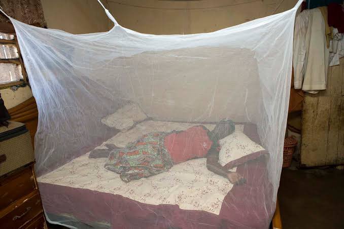 Contract Crisis: Nigerian Government Yet To Distribute Mosquito Nets To Five States Since 2022 Despite Taking World Bank Funds | Sahara Reporters bit.ly/3VgtrAJ