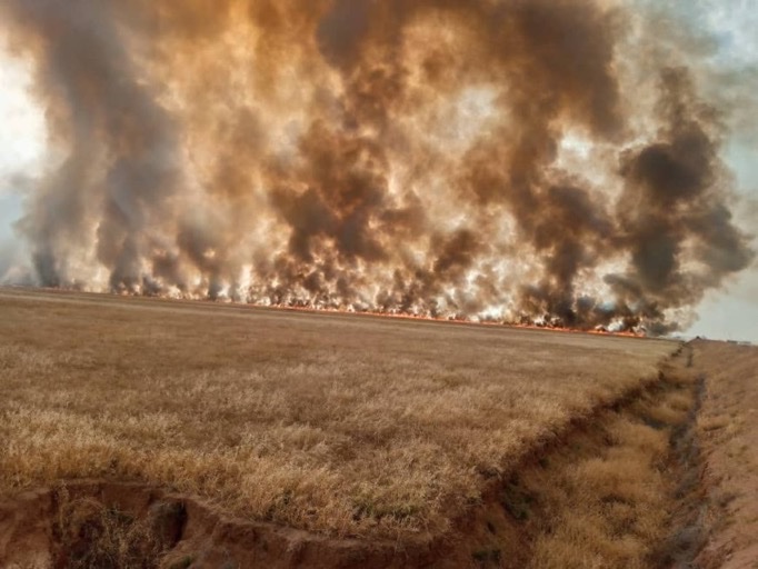 The Turkish state and Turkey-backed jihadist terrorists continue to set fire to agricultural areas in Til Tamir. Via @__SeyyidAhmed  @UN @EU_Commission @hrw @amnesty #TwitterKurds