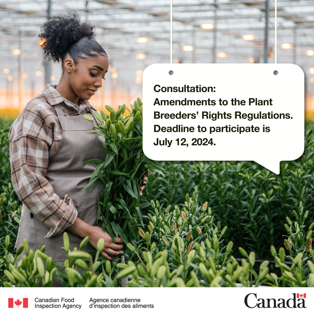 📣 Have your say!

We are proposing changes to the Plant Breeders' Rights regulations, which help protect new plant varieties and their creators.

Tell us what you think by July 12, 2024. 🌱

bit.ly/3R5YKvs

#PlantBreeding #Horticulture #IntellectualProperty