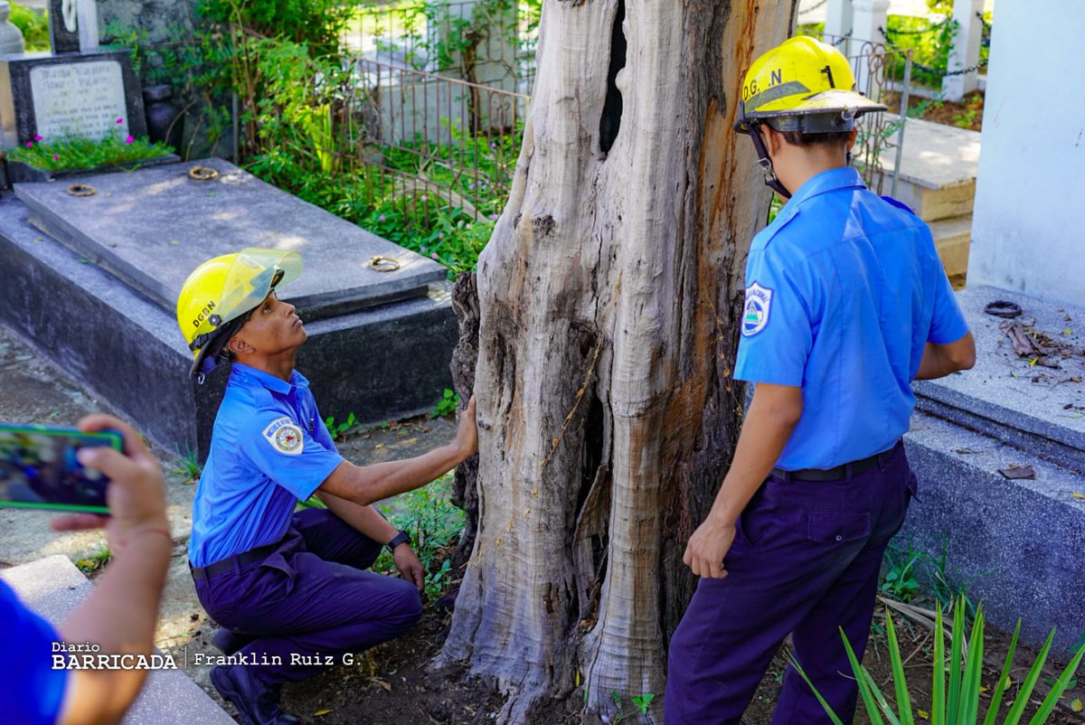 En conmemoración al Día de las Madres, bomberos realizan inspección en el Cementerio General, para prevención de incendios y exterminar enjambres de abejas en el Distrito II de #Managua.