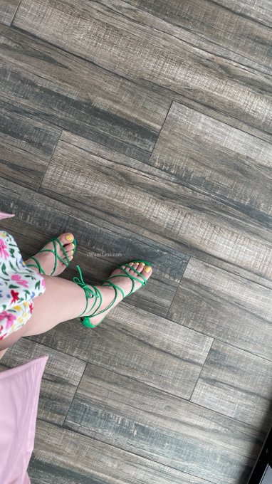 Yes, you may worship my feet today. https://t.co/jCebBo9dQ4 @MynxCo https://t.co/VWPCBzeK4R<a href="/tag/miami"class="tags"><span>#miami</span></a>