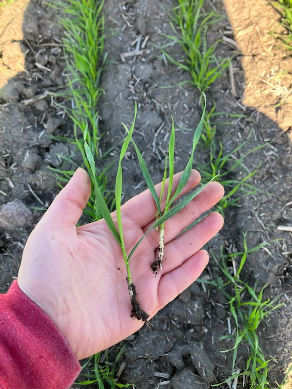 Beauty of a morning out in River Hills