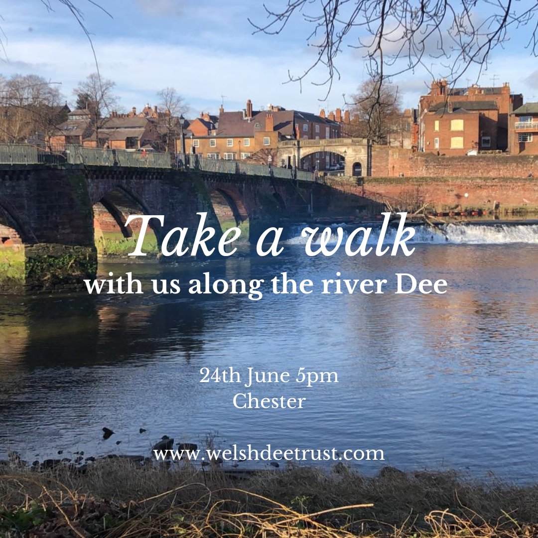 Join @powell_peter our CEO for a walk along the River Dee in Chester as part of @chesterherifest 2024. Come along to learn about the work we do, river habitats, wildlife and challenges facing the river 💧🌿🐟 More information and sign up here: wtm360.co.uk/chester-herita…