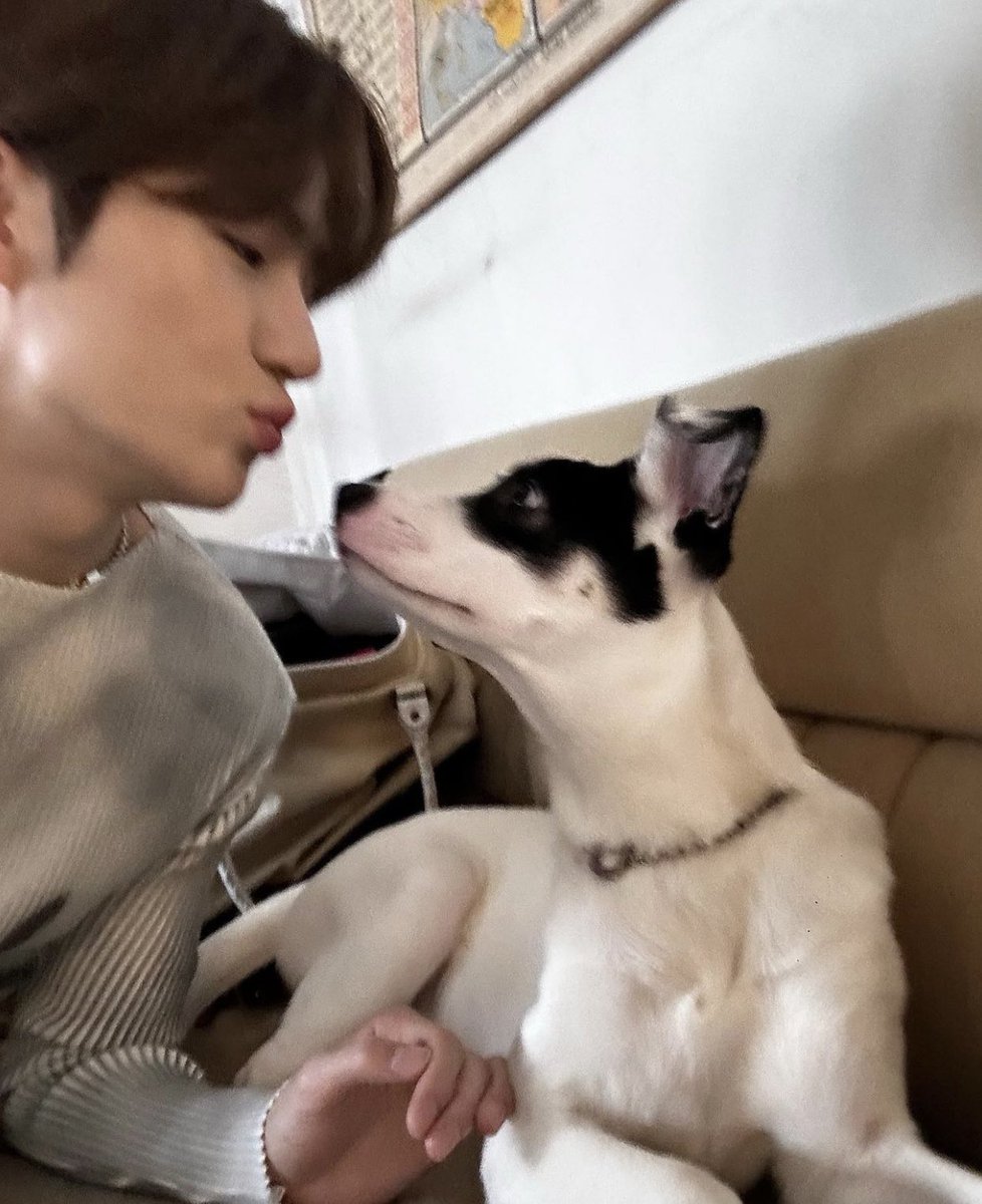 alfzb_'s tweet photo. 강아지좋아곰아지 https://t.co/R1LXUyrTYB
