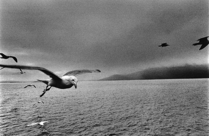 #VoltaDelCielo #VentagliDiParole “È nostro questo cielo d’acciaio che non finge Eden e non concede smarrimenti “ ___Elio Pagliarani, da ‘La ragazza Carla’ 📸Joseph Koudelka-Scotland, 1977