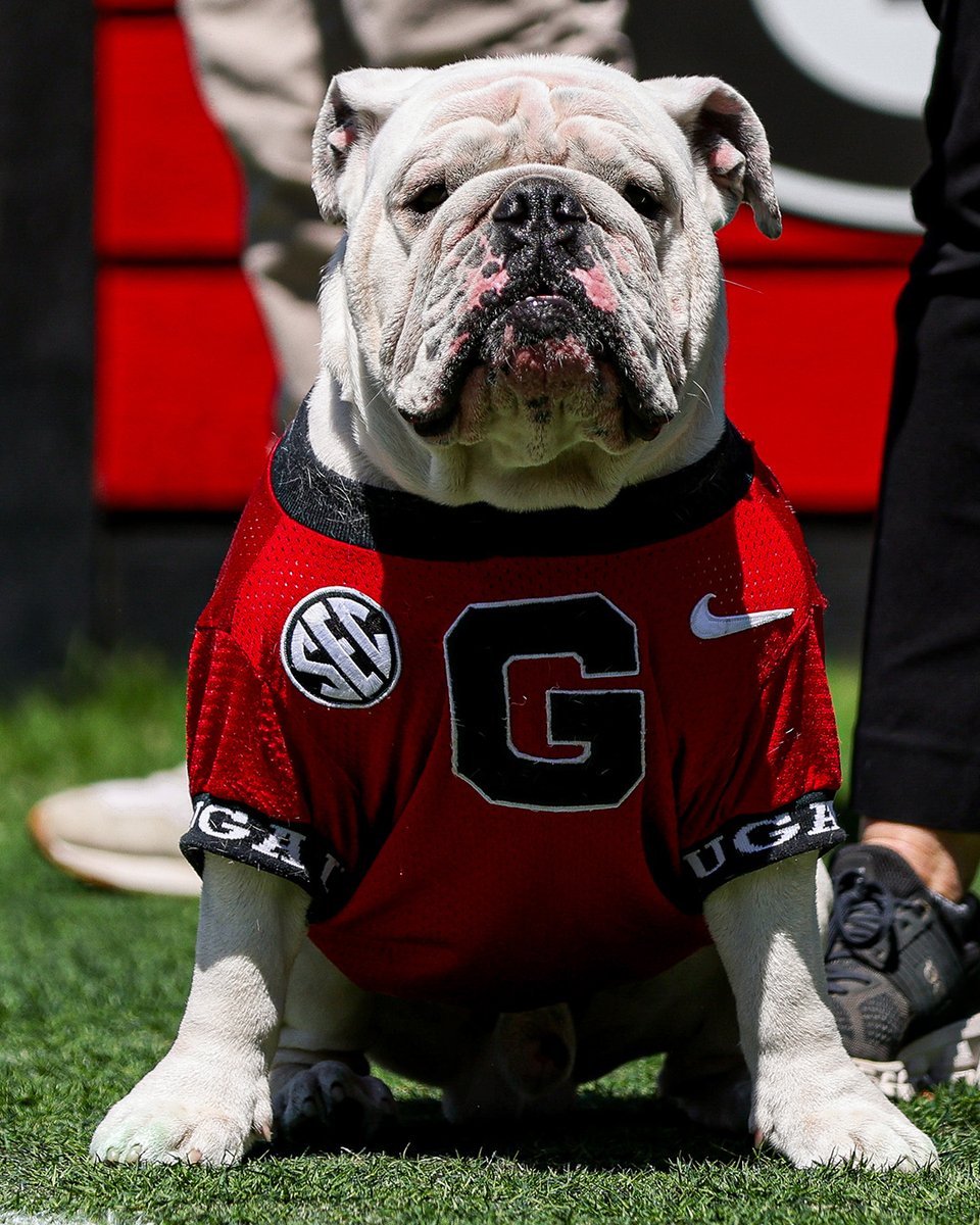 Just another day of being the best boy.

#GoDawgs