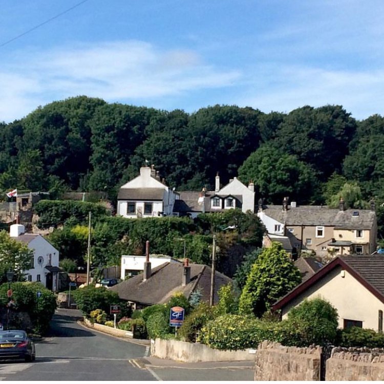 Diane Hope tweet media