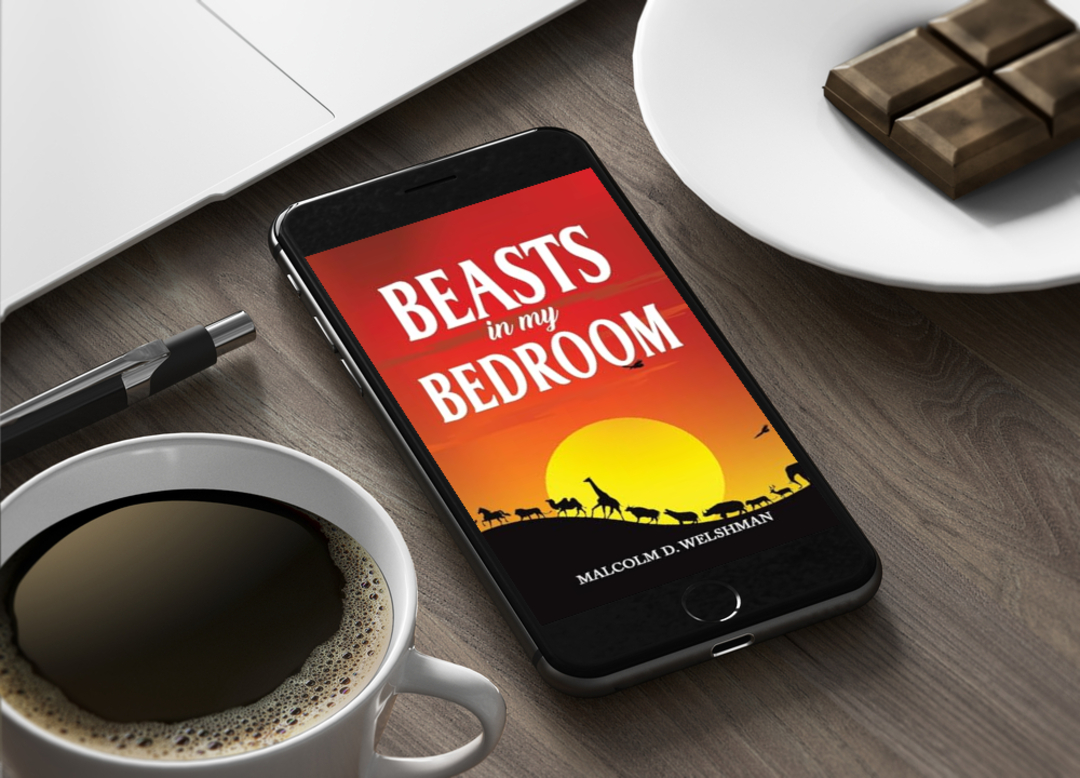 Read a free sample of my book on AllAuthor. #mybook #readasample #freechapters #mustread #ebooks #allauthor Read a Sample -> allauthor.com/preview/88070/