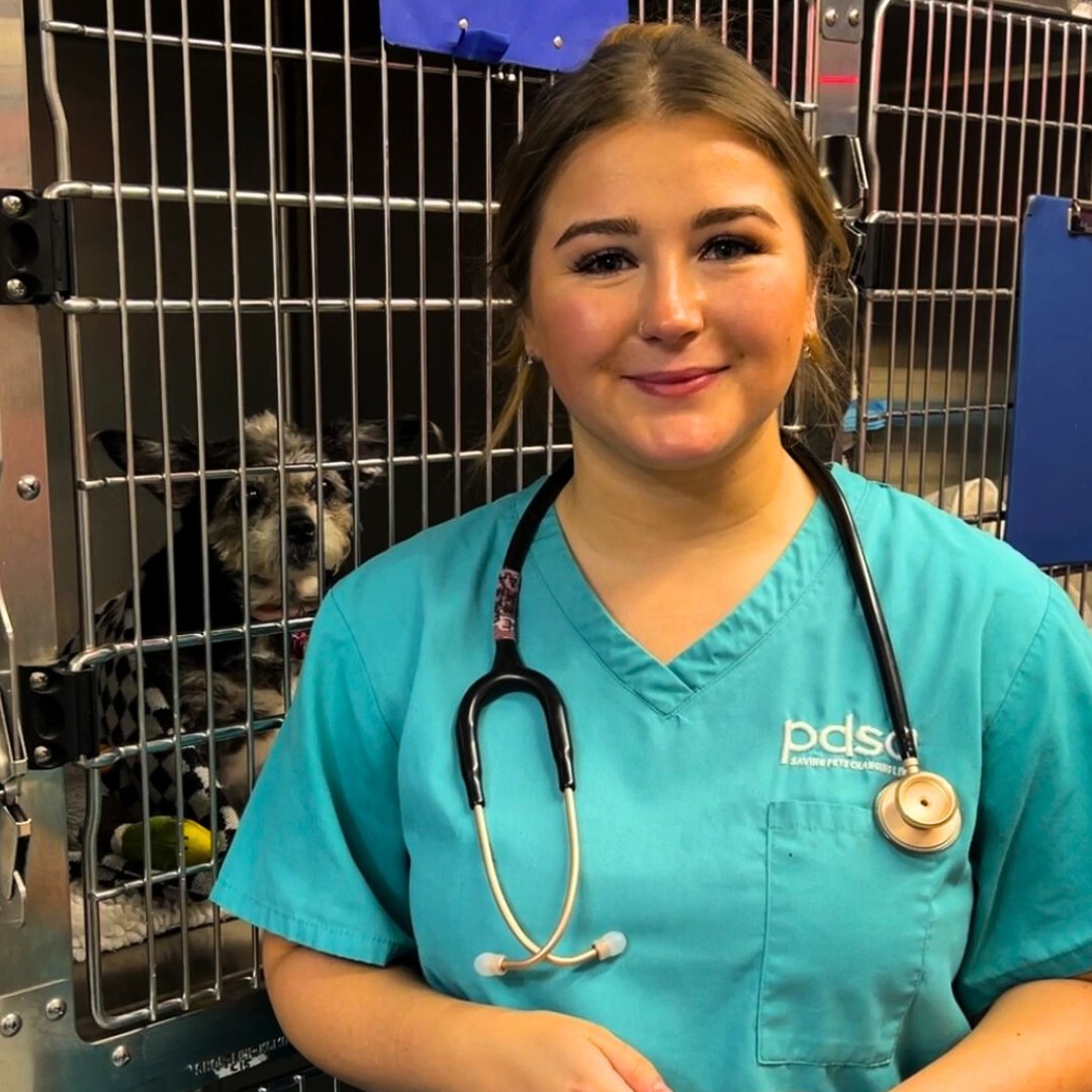 Let's hear it for all of the future Veterinary Nurses out there 🤩 With @bvna's #VNAM2024 coming to a close, please join us in wishing Emma, from our #Sunderland Pet Hospital, all the best in her studies as she works her way to becoming a qualified #VeterinaryNurse 🍀