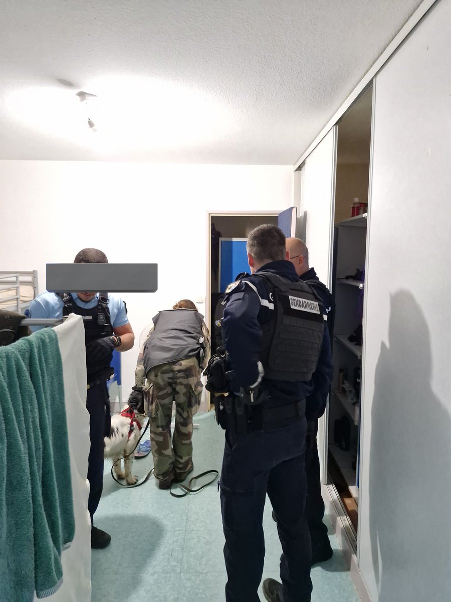 Proc_Compiegne's tweet photo. Opération lutte stupéfiants à NOYON en présence du procureur de la Republique, ce mercredi 29 mai 2024

Merci à la compagnie de gendarmerie,  le PSIG et l'équipe cynophile de Saint Quentin. 

Interpellation et contrôles d'identité en ville 

#justice
#placenette
#procureur https://t.co/zMich5D9tG
