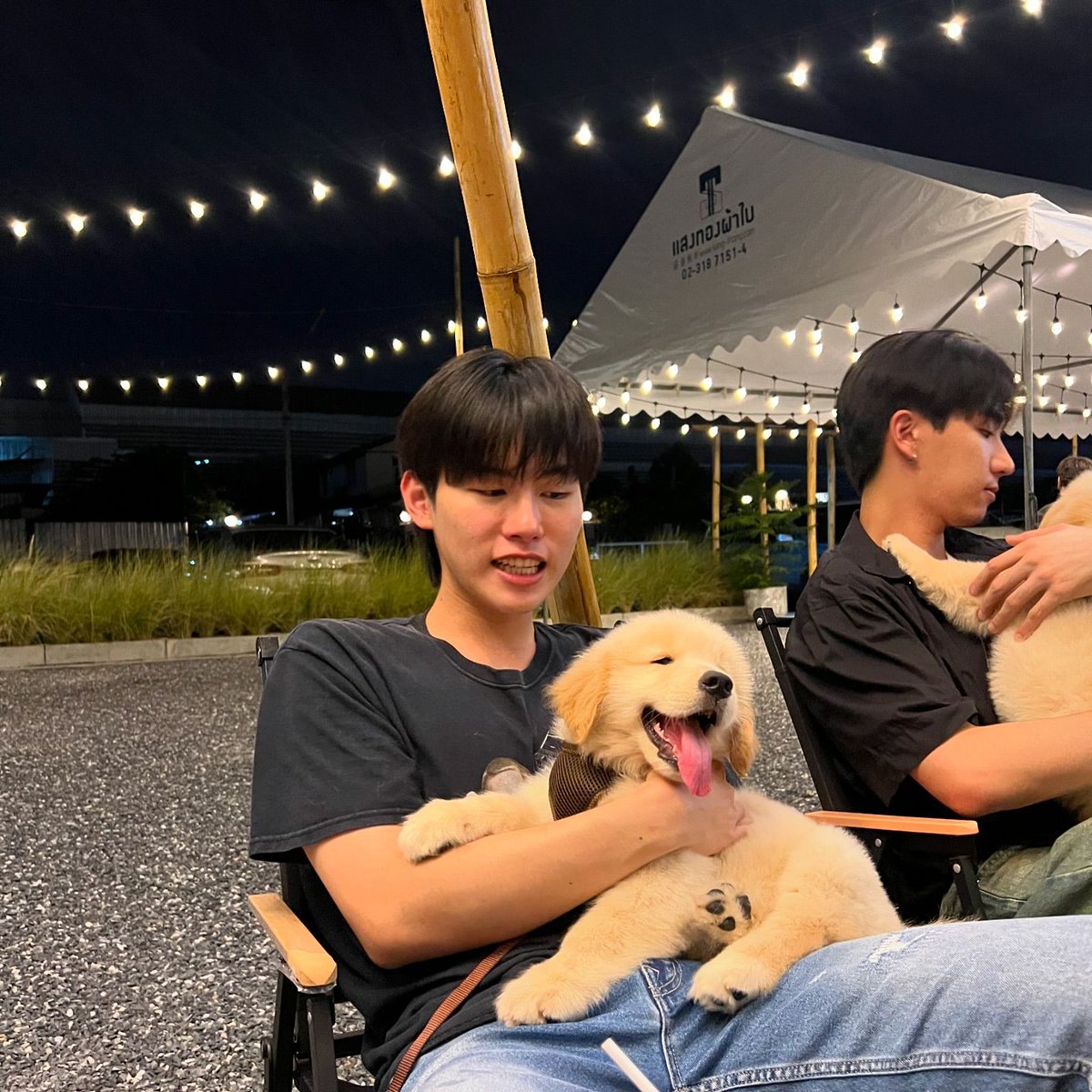 [240529] Ohm - Gold__Denn IG Post Meeting 🐶🐶...☺️☺️☺️💓 #ohmpawat #Gold__Denn