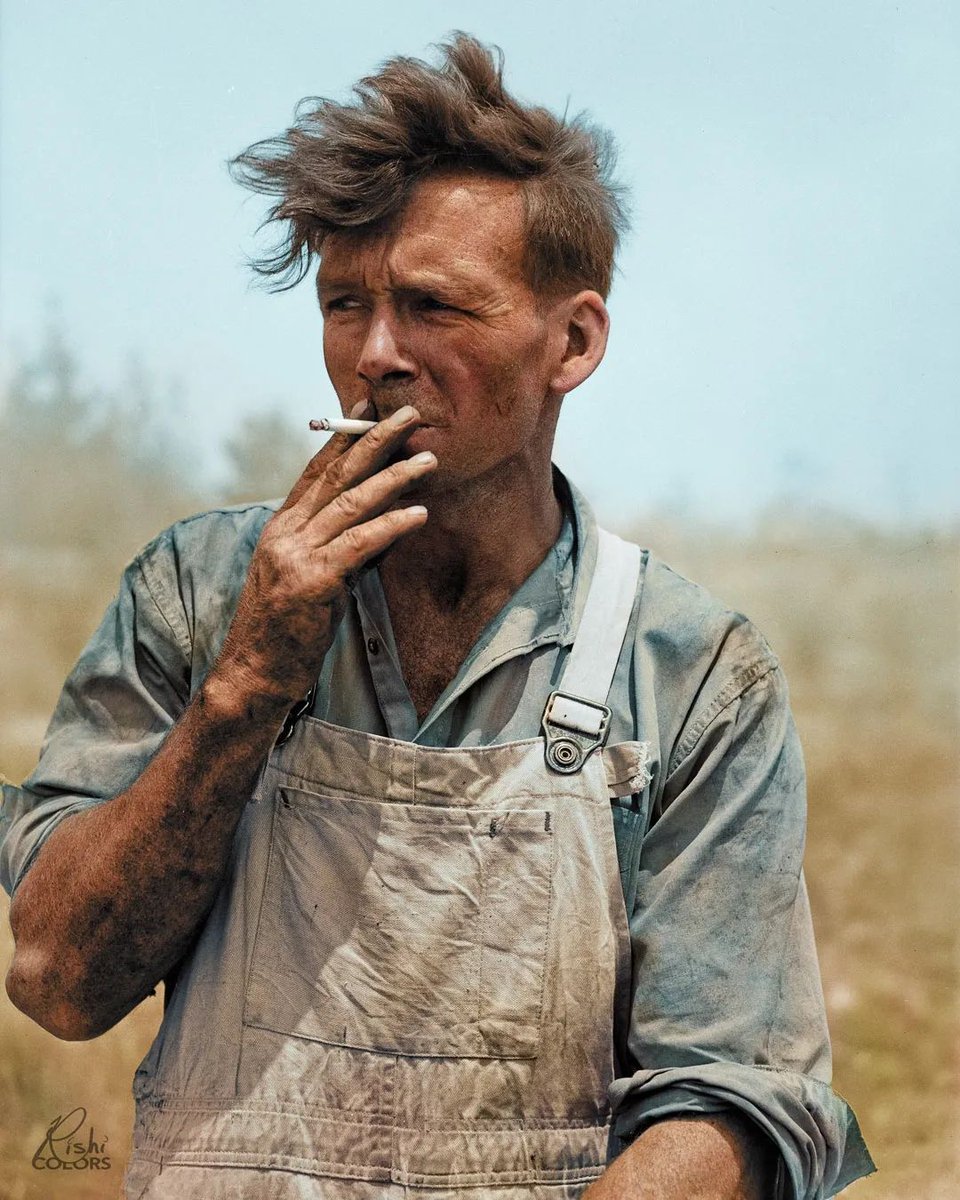 HistoryColored tweet media