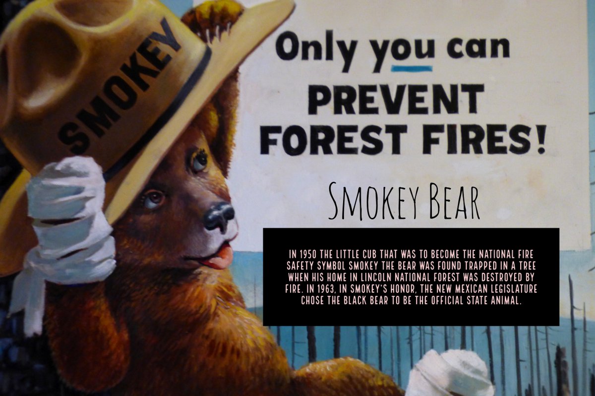 505Nomad's tweet photo. Please be careful with embers, cigarette butts, fires, etc. It is dry and windy.

#NewMexico #fireseason #springwinds #cautionwhilecamping https://t.co/Ea97evC5Bu