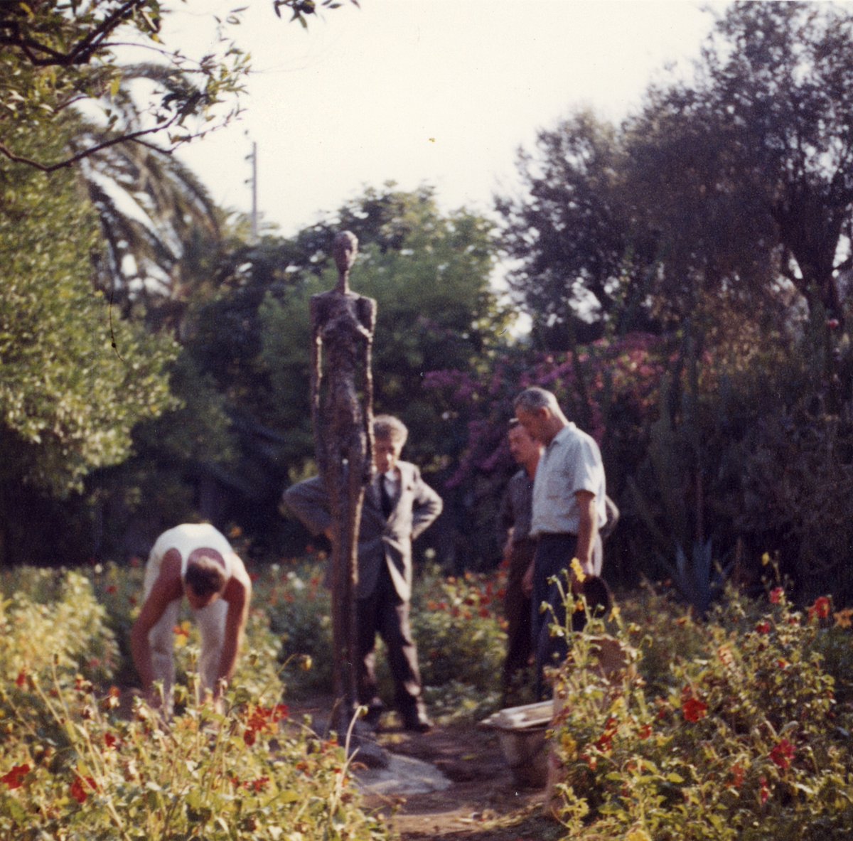 Dans nos archives… Alberto Giacometti assistant à l'installation de la Grande Femme III en bronze, chez Tériade, dans le jardin de la villa Natacha, Saint-Jean-Cap-Ferrat. © Succession Fondation Giacometti, ADAGP Paris 2024