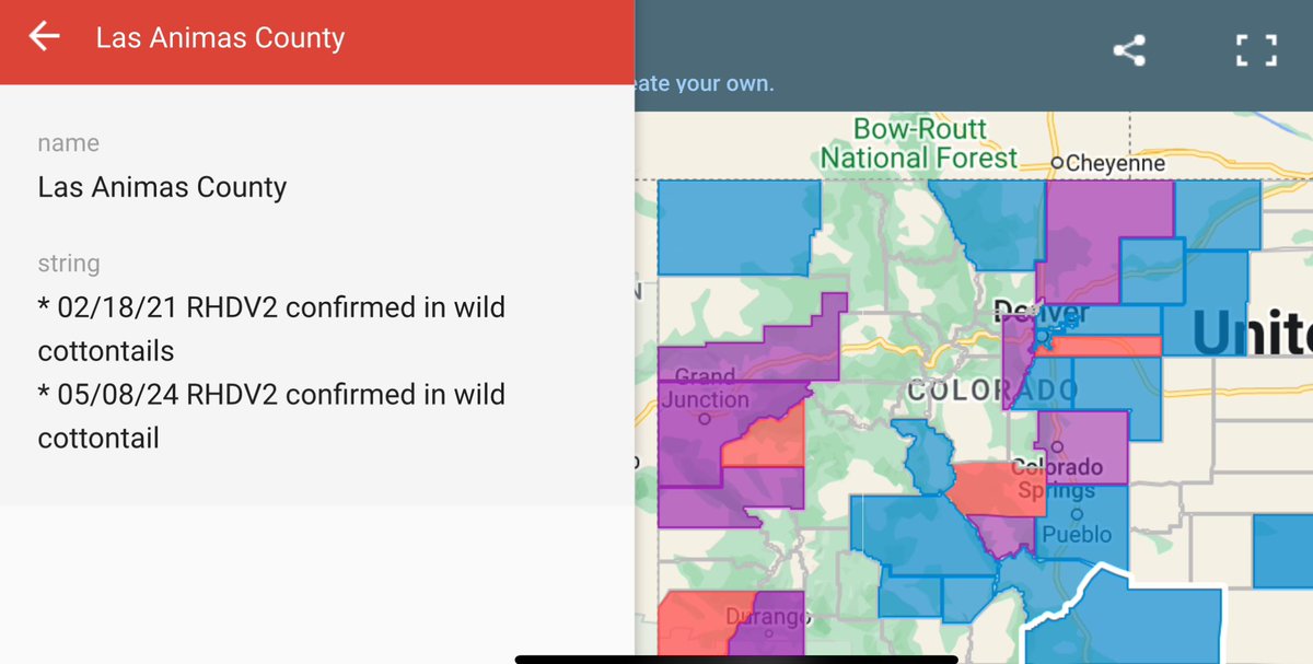 Rabbit hemorrhagic disease hitting hard in #Colorado. Confirmed cases in 5 counties in May: Elbert, Douglas, Adams, Jefferson, Las Animas. Morgan & Logan Counties in April. 💉Vaccinate your 🐰s if living or vacationing in Colorado - & anywhere else you can to protect yr 🐰s.