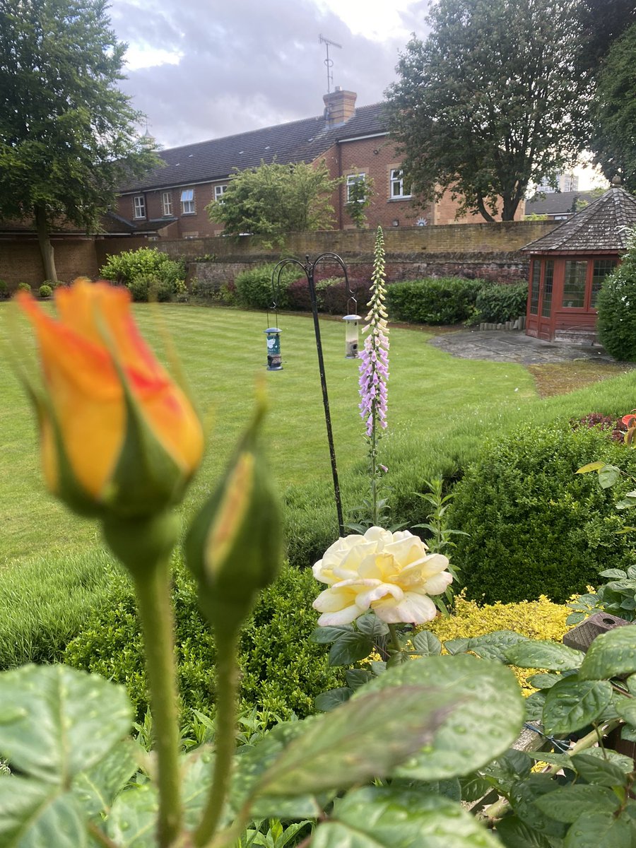 Been a lot brighter and warmer today. Garden is looking beautiful.