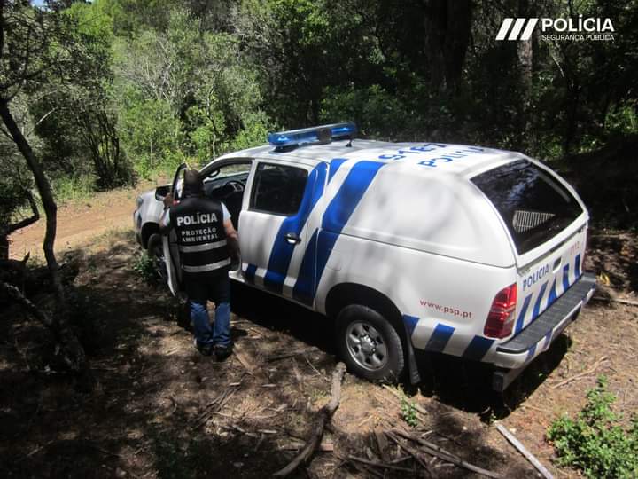 🚨Proteja-se dos incêndios rurais! A PSP relembra que o prazo para limpeza dos terrenos termina hoje. Consulte mais informações em: 👉portugalchama.pt fogos.icnf.pt/InfoQueimasQue… Lembre-se que, ao proteger-se a si e aos outros, está a proteger o ambiente 🌳🍃