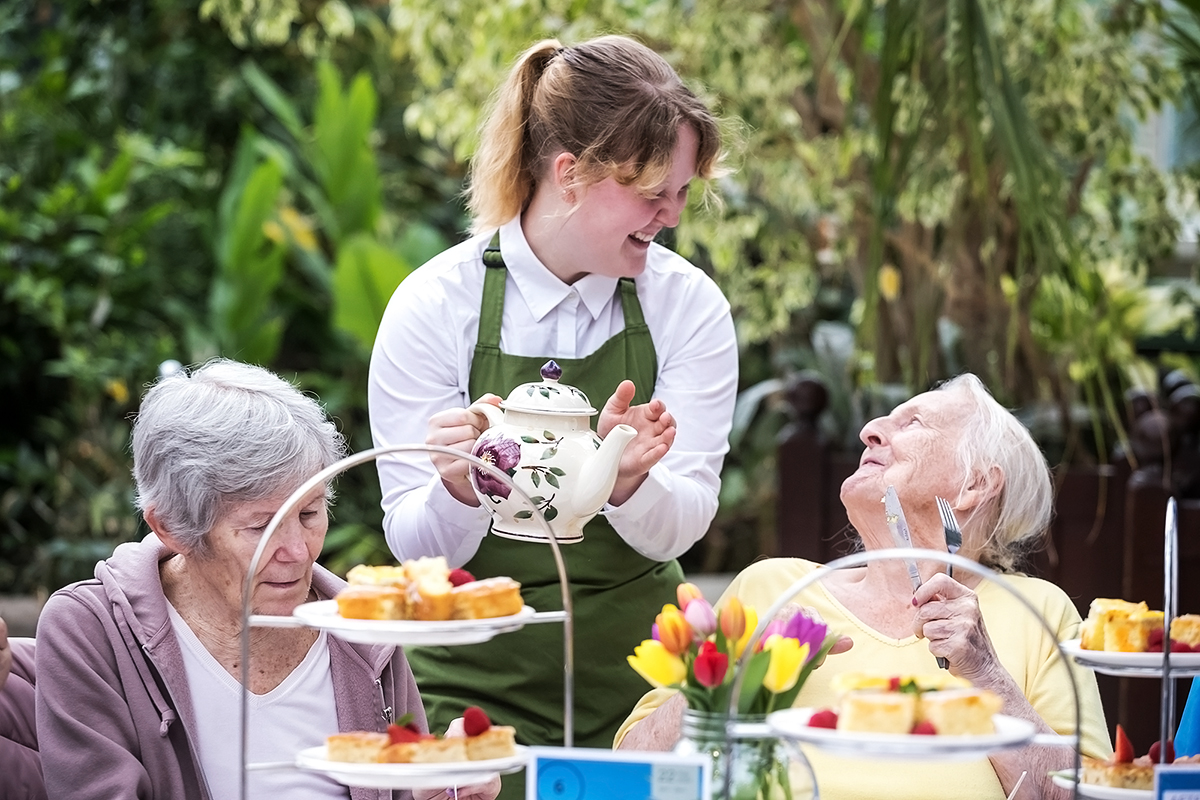 A very special afternoon tea at the Palm House : dailymotion.com/video/x8ywlce

💙 Made Possible with special thanks to the The National Lottery Heritage Fund

🌺 Fancy Afternoon Tea in the #seftonparkpalmhouse? Midsummer Tea Party available to book on Ticketquarter