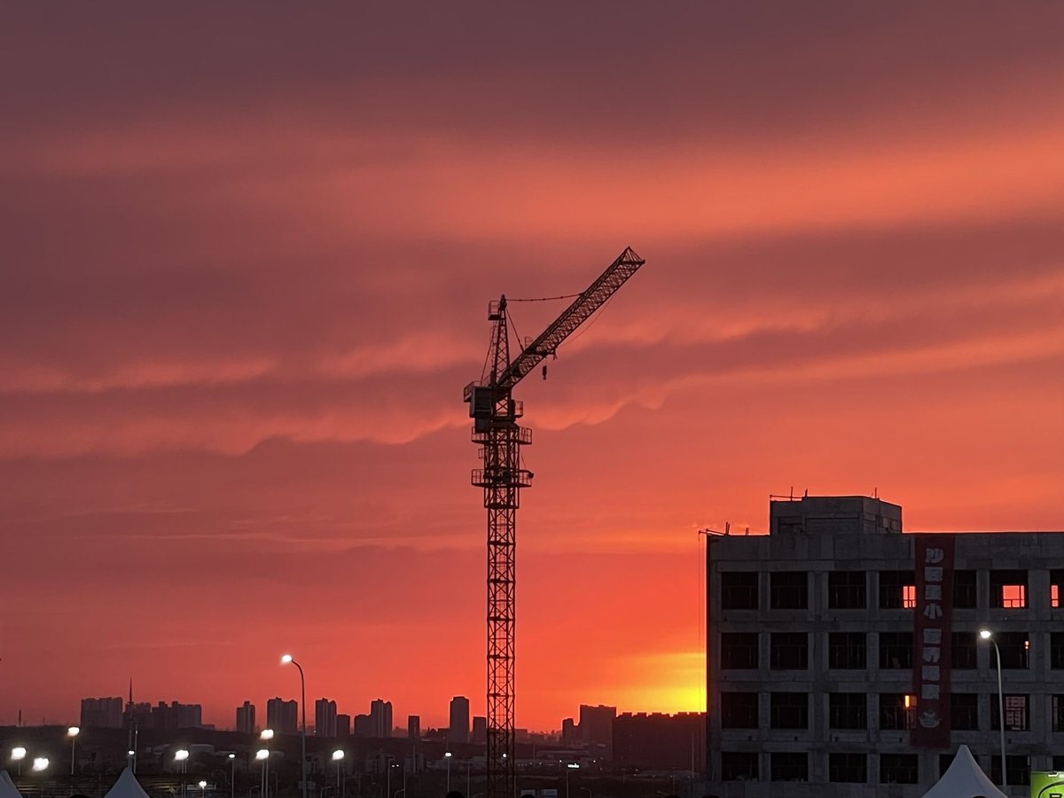 天山雄鹰 tweet media