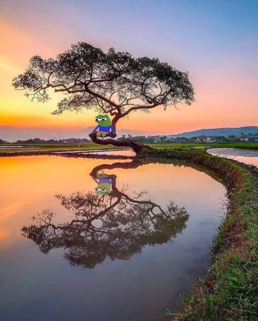 the south moves north, the north moves south
a star is born, a star burns out
the only thing that stays the same is
everything changes, everything changes