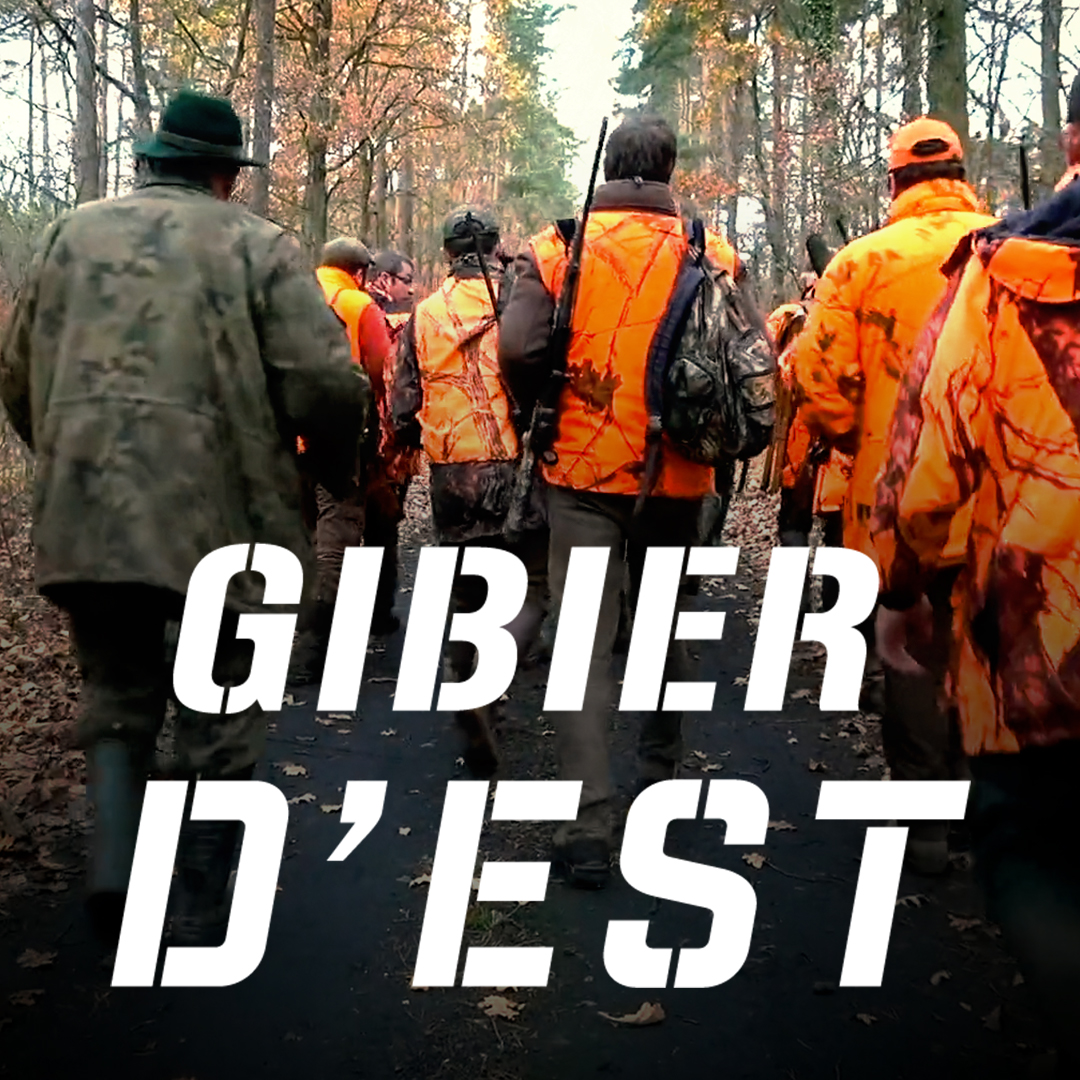 Zone300off's tweet photo. À la une, "Gibier d'Est" sur Zone300 ! La Pologne est une des destinations prisées des passionnés de grands gibiers. Et lors de cette battue, on comprend pourquoi !
#chasse #Zone300 #Pologne #hac #battue #filmdechasse https://t.co/nSA4PJtSsQ