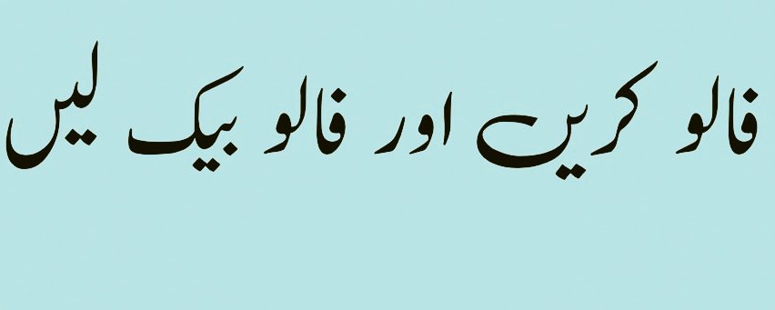 مہرو شہزادی👸 tweet media