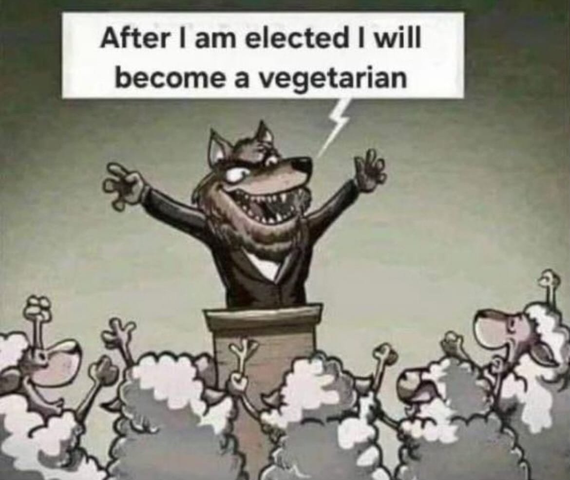 Election years in one image: