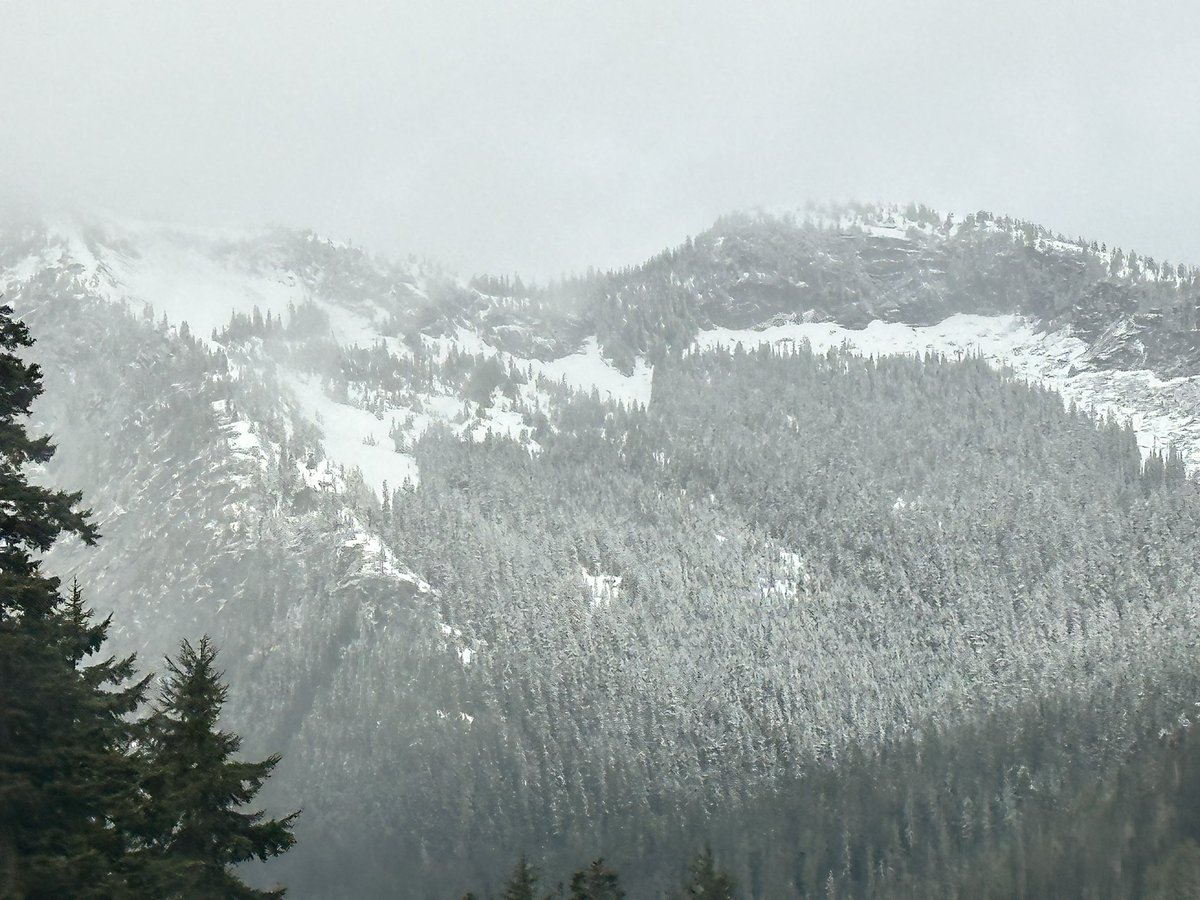 It snowed a tad up on the Coquihalla last night.