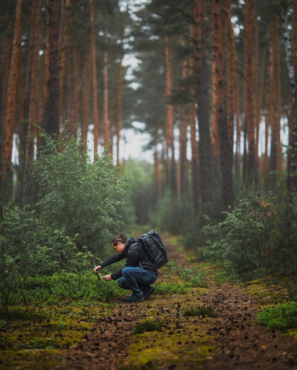 PGYTECH_global's tweet photo. Elevate your photography adventures with the ultimate gear: the OneMo 2 backpack and Beetle Camera Clip by PGYTECH. Designed for the wild, ready for every shot!
@mazurek.photographer
#PGYTECH #BeetleClip #UniversalClip #CameraAccessories #Photography #Outdoor #Travel https://t.co/ayDyZGFPIS