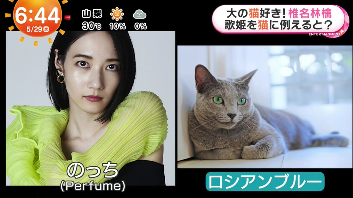 椎名林檎さんアルバム放生会 めざましインタビュー 今回の歌姫7人