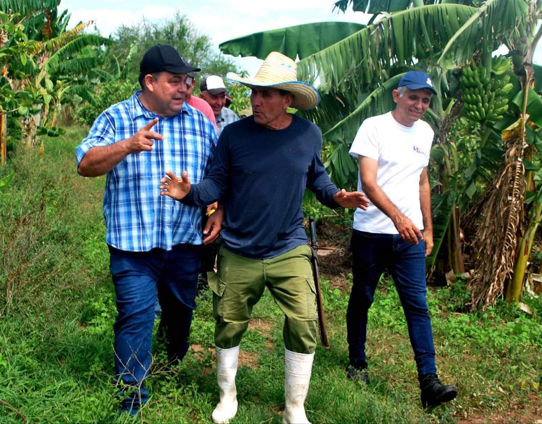 Félix Duarte Ortega, Presidente Nacional de la ANAP dialoga con campesinos del municipio de Gibara en visita de trabajo a este territorio.
#AnapCuba
#JuntosPodemos