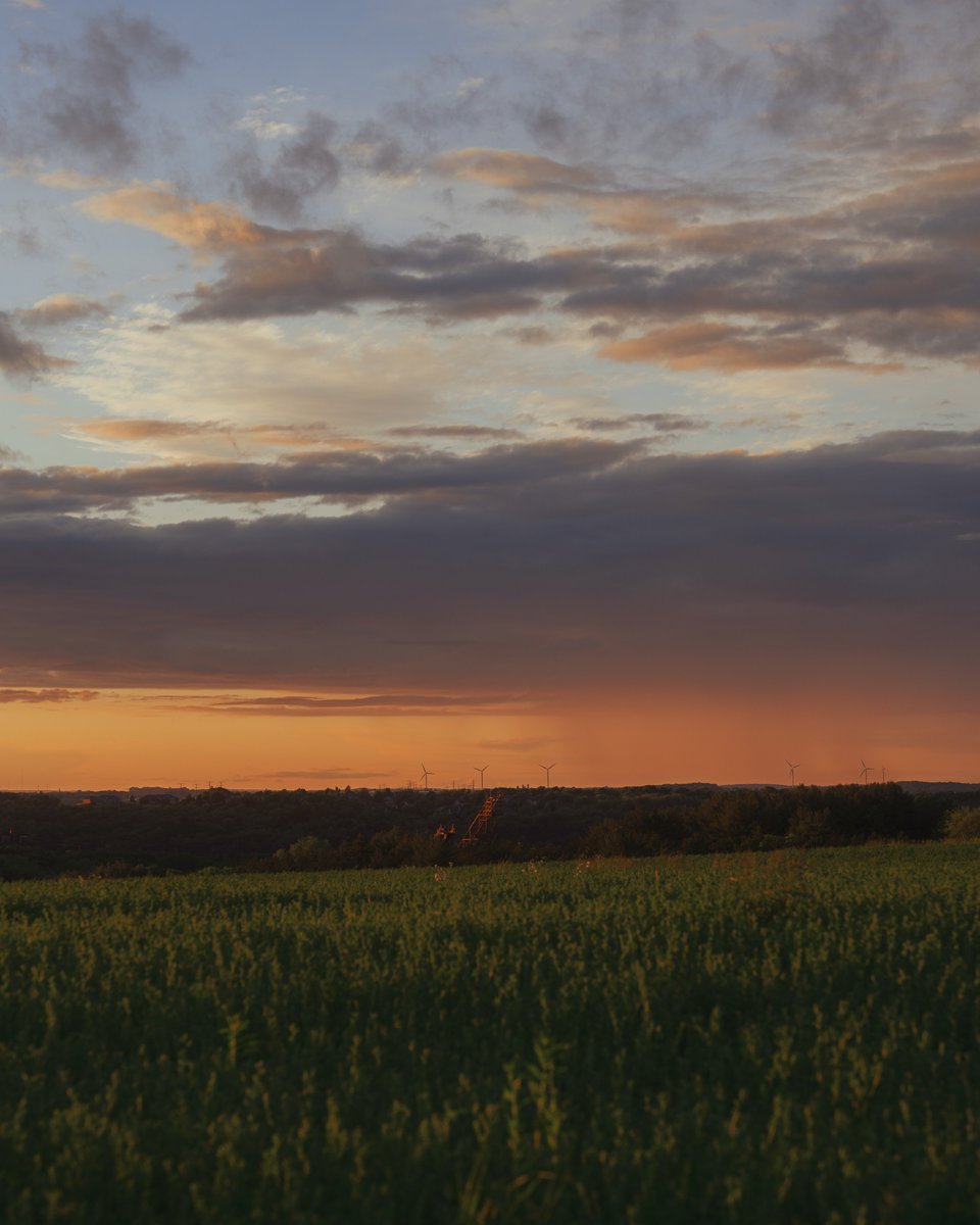 Photos I took last night ✨