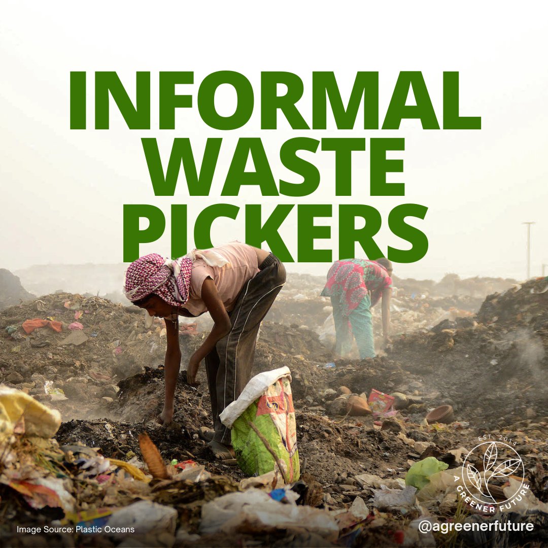 aGreenerFuture's tweet photo. Did you know that “it’s informal waste pickers that collect 60% of the plastic that’s recycled globally.” @cbcgem. 

Upcoming article, Plastic is a Multidimensional Issue, coming Monday June 3rd!

#plasticpollution #India #Indonesia #Singapore #China #plasticpicking #cbc https://t.co/HcPgswWOcX
