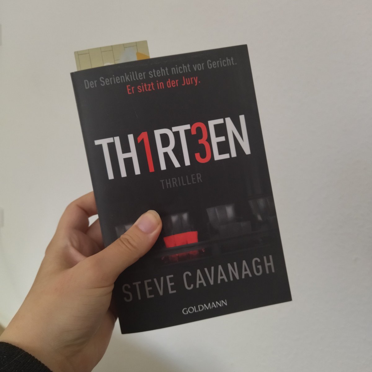 #currentlyreading

thirteen
539 pages