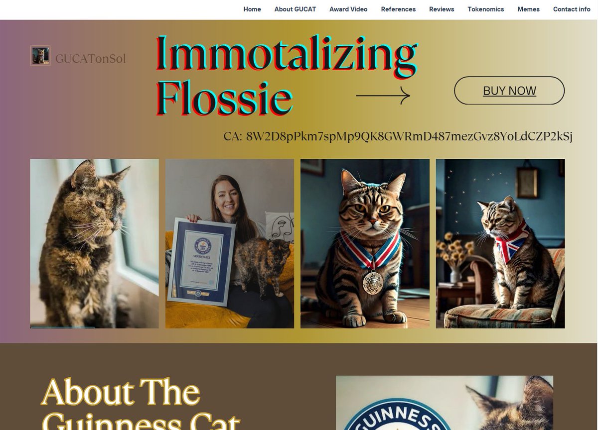 Our website got a new look! Check it out: #GUCAT #CATwifBADGE #Solanamemes
