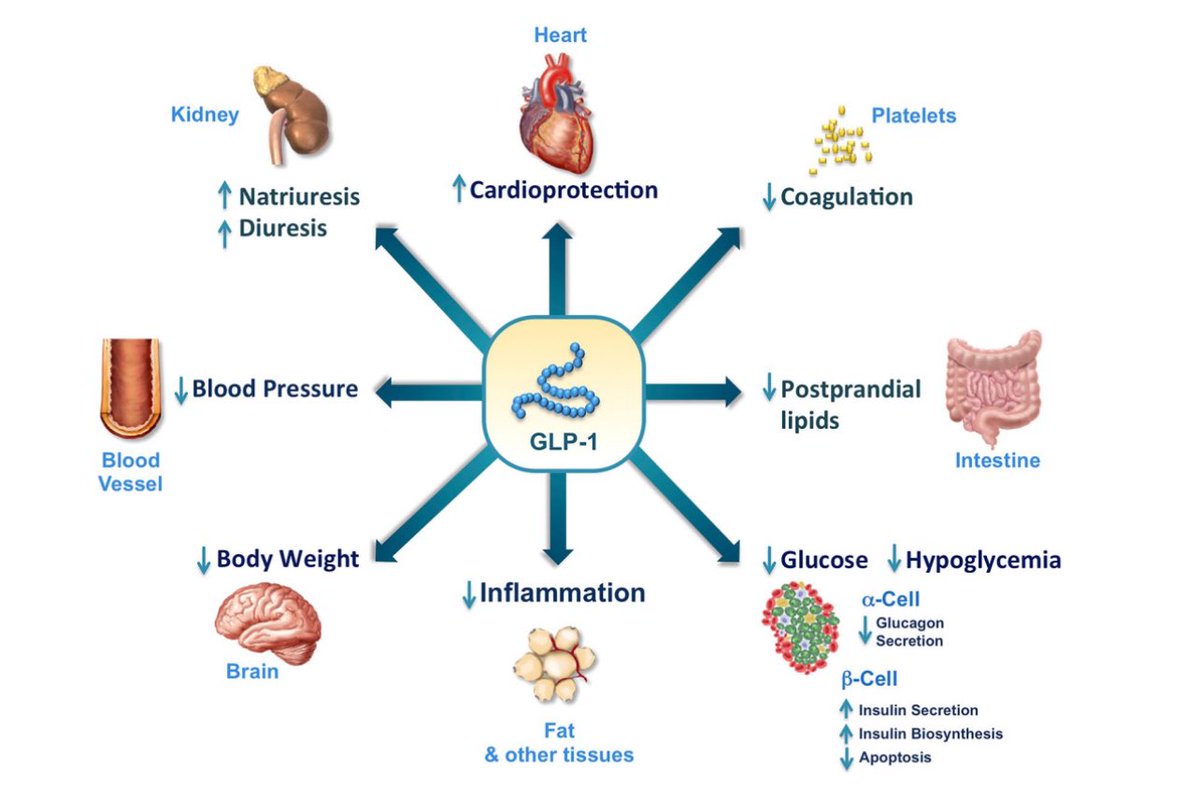 Son tan buenos los agonistas GLP1? Creo que si! Los estamos usando poco no? link.springer.com/article/10.100…