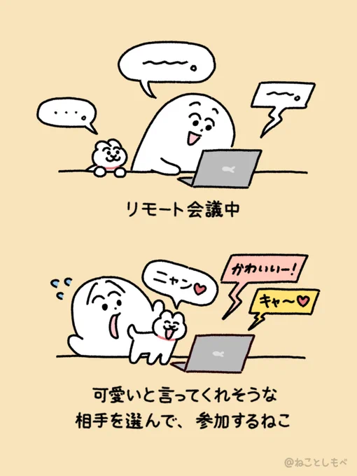 リモート会議に参加するねこ 