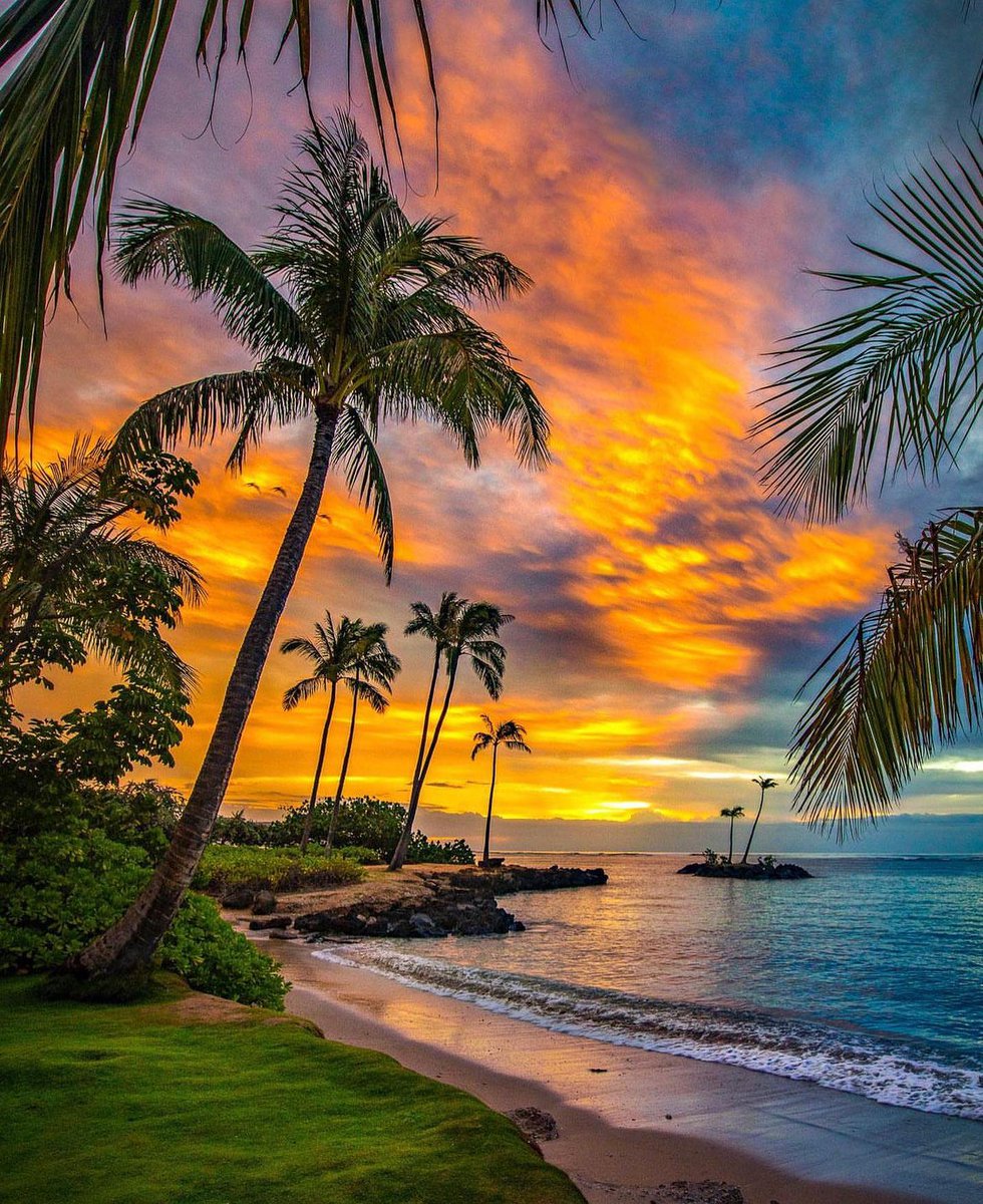 Sunset in Hawaii 🌞

Good night to you all dear friends 🤗