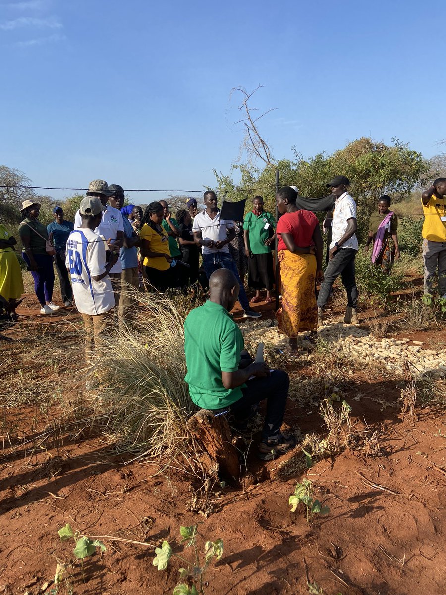 Day 2 of our training facilitated by @savetheelephants ……Learning admits the fields! 🐘🐝☘️

After a theory on the mitigation methods illustrated in the human-elephant coexistence toolbox. It was now time to visit farmers in Mwambiti for hands-on demonstration #conservation