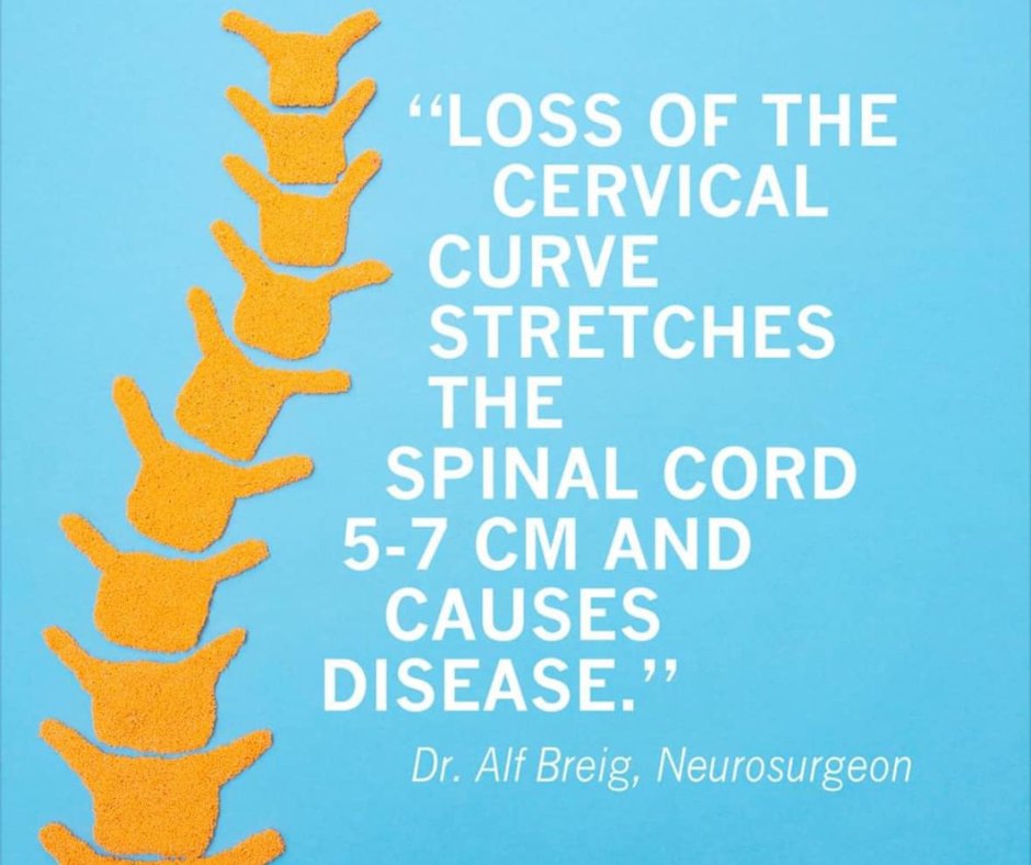Keep that cervical curve in proper position with regular chiropractic visits.

#sageclinic #drvictorsage #chiropracticcare #chiropracticadjustment #painfree #painrelief #chiropractic #backpain #neckpain #spinehealth #headacherelief #stressrelief #posture #physicalfitness #sports