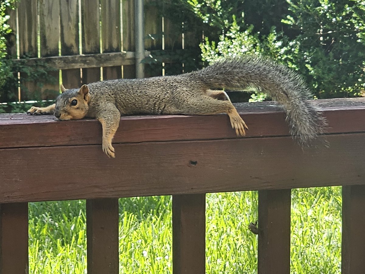 <a href="/evan777713/">Evan777713</a> @RecksNFX this will be you after I'm through with ya