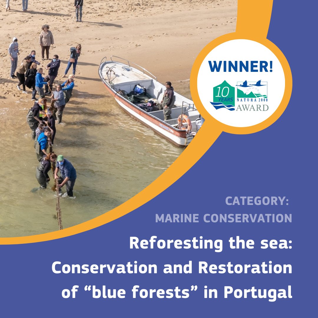 EU_ENV's tweet photo. 🎉 Congratulations to the #Natura2000Awards 2024 winners!🏆

Six initiatives from 🇪🇪 🇮🇪 🇮🇹 🇵🇱 🇵🇹 🇪🇸 have been awarded for their excellence in nature conservation in the 🇪🇺 #Natura2000 Network of protected areas.

Learn more about them 👇

#EUGreenWeek