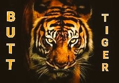 🅱️🐯#BTiger بٹ پروموشن🔥 Repost & Like ✅ @PK50K @5nqvi @MQ_g22 @0fozi_ @8nqvi @_Arsh1 @exd87 @3xirw @JonSnowIFB @kazmi7771 @EvilDoma @NighatYZ @OdriSeva @Firefly13X @florchicana @i_ayeshamalik @khnii_ @SG3k_ @uaf87 @Faj514 @Butt4_ @_a_izal @Butt3_ @_Soni0✨ @iAyeshaMalikPti🌙