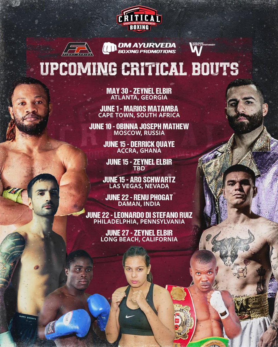 Team on the working! Fight time🥊