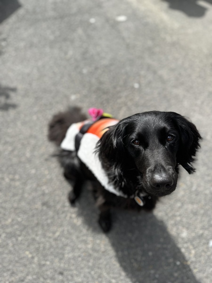 Bethany Larkin tweet media